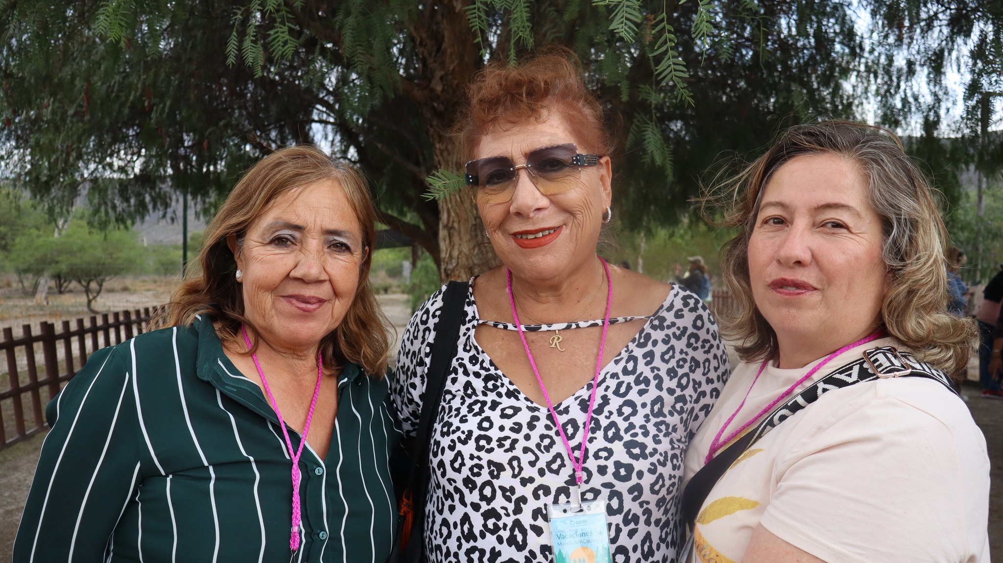 590240597_844034738211368_373938829325864734_n